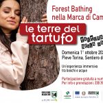 ForestBathing Cartolina TerreDelTartufo Autunno2023_Tavola disegno 1 copia